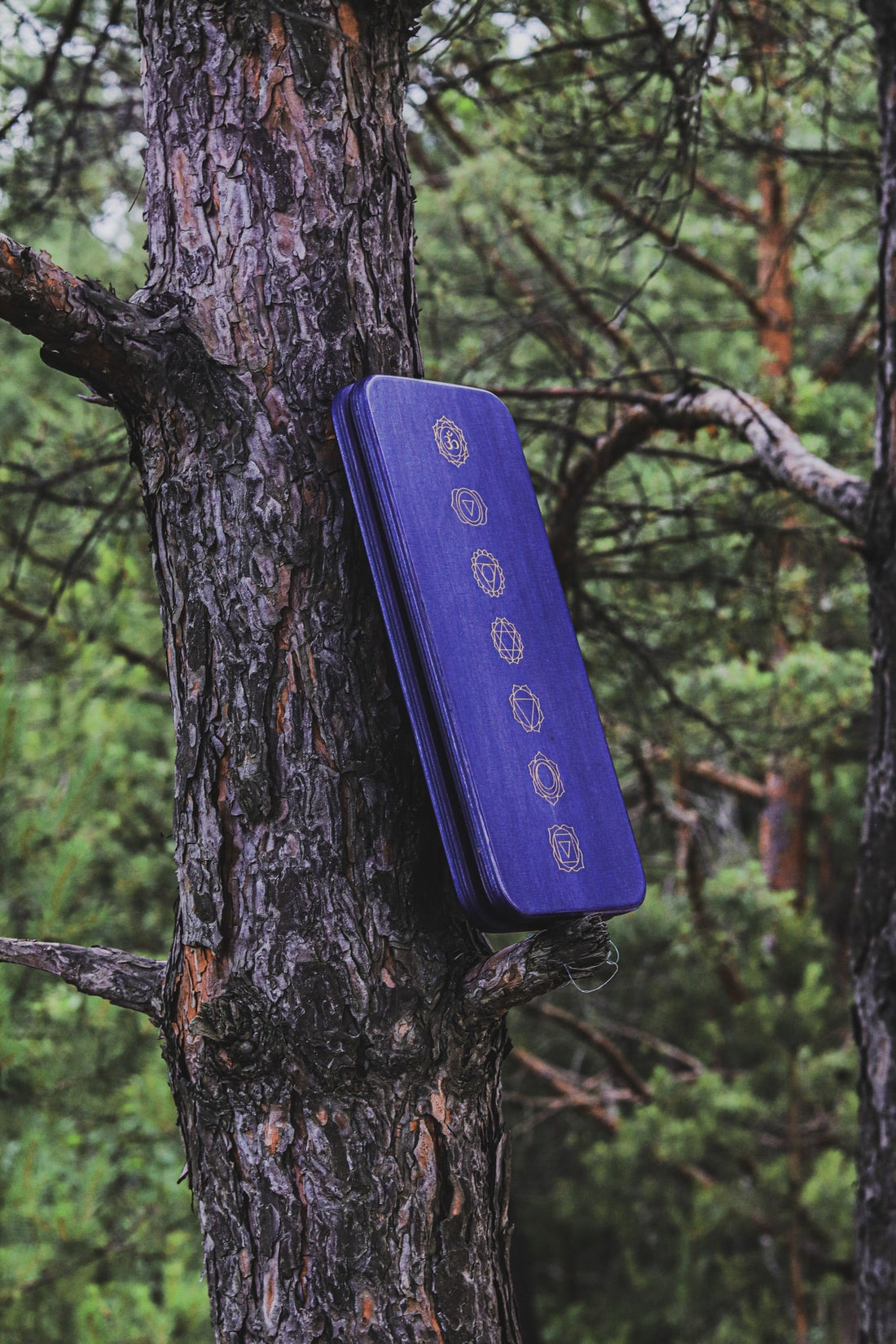 A Calm, Screen-Free Relaxation Break with a Sadhu Board