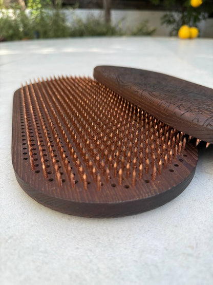 Embodied Coherence Board (ECB)